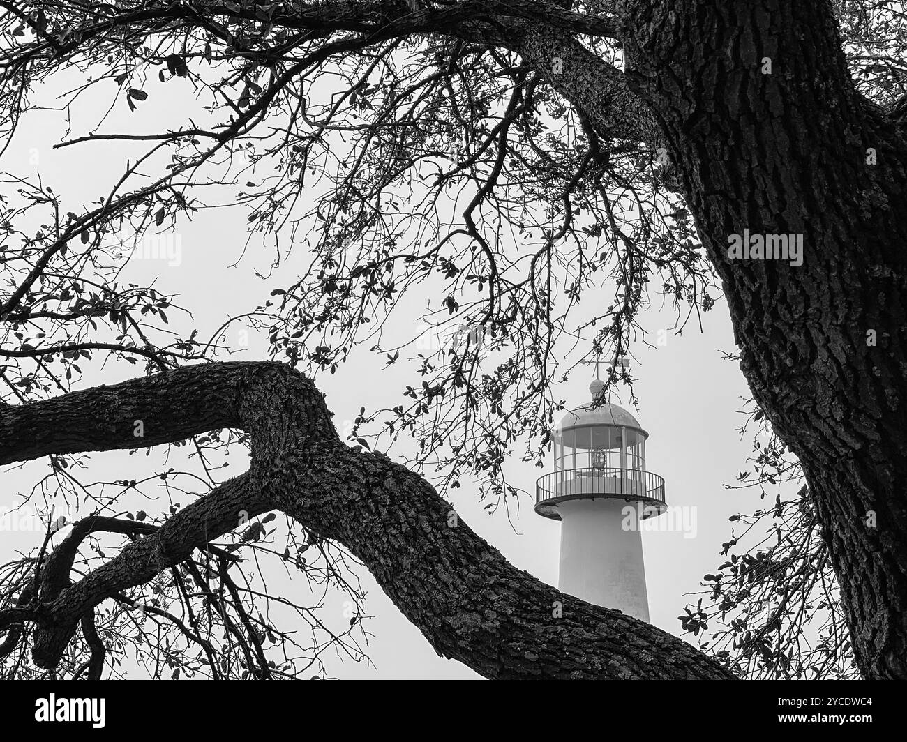 Faro di Biloxi incorniciato da un albero, Biloxi, Mississippi, Stati Uniti Foto Stock