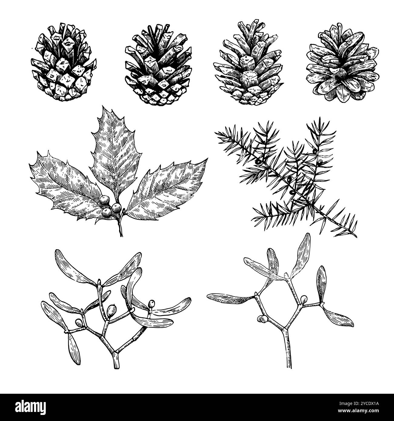 Grande collezione di piante natalizie, coni di pino, agrifoglio, mietitore e ginepro. Illustrazione in bianco e nero. Illustrazione Vettoriale