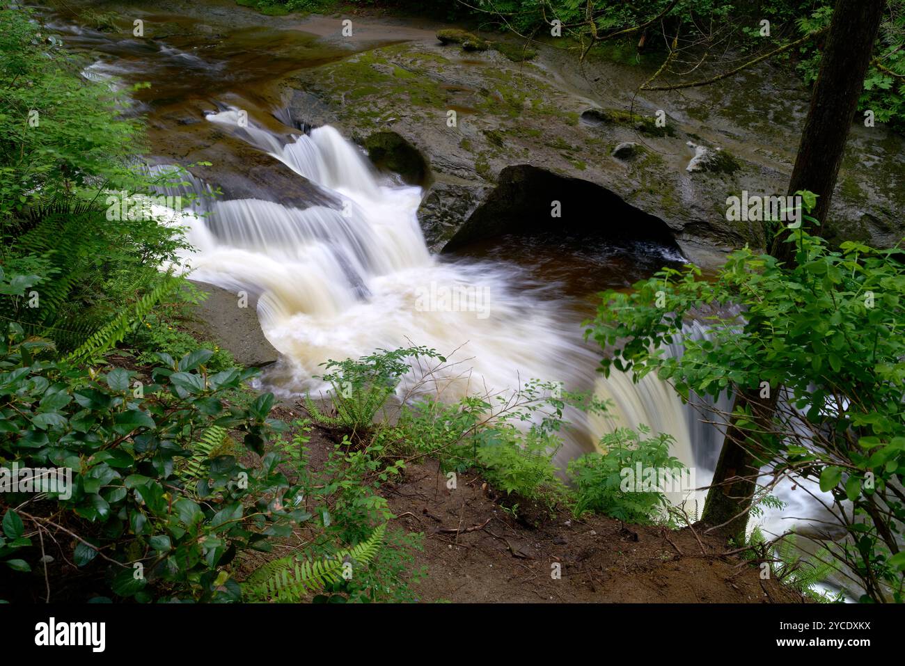 Kanaka Creek River Motion Blur. Scatto di sfocatura del movimento dell'acqua che scorre nel Kanaka Creek Regional Park. Foto Stock
