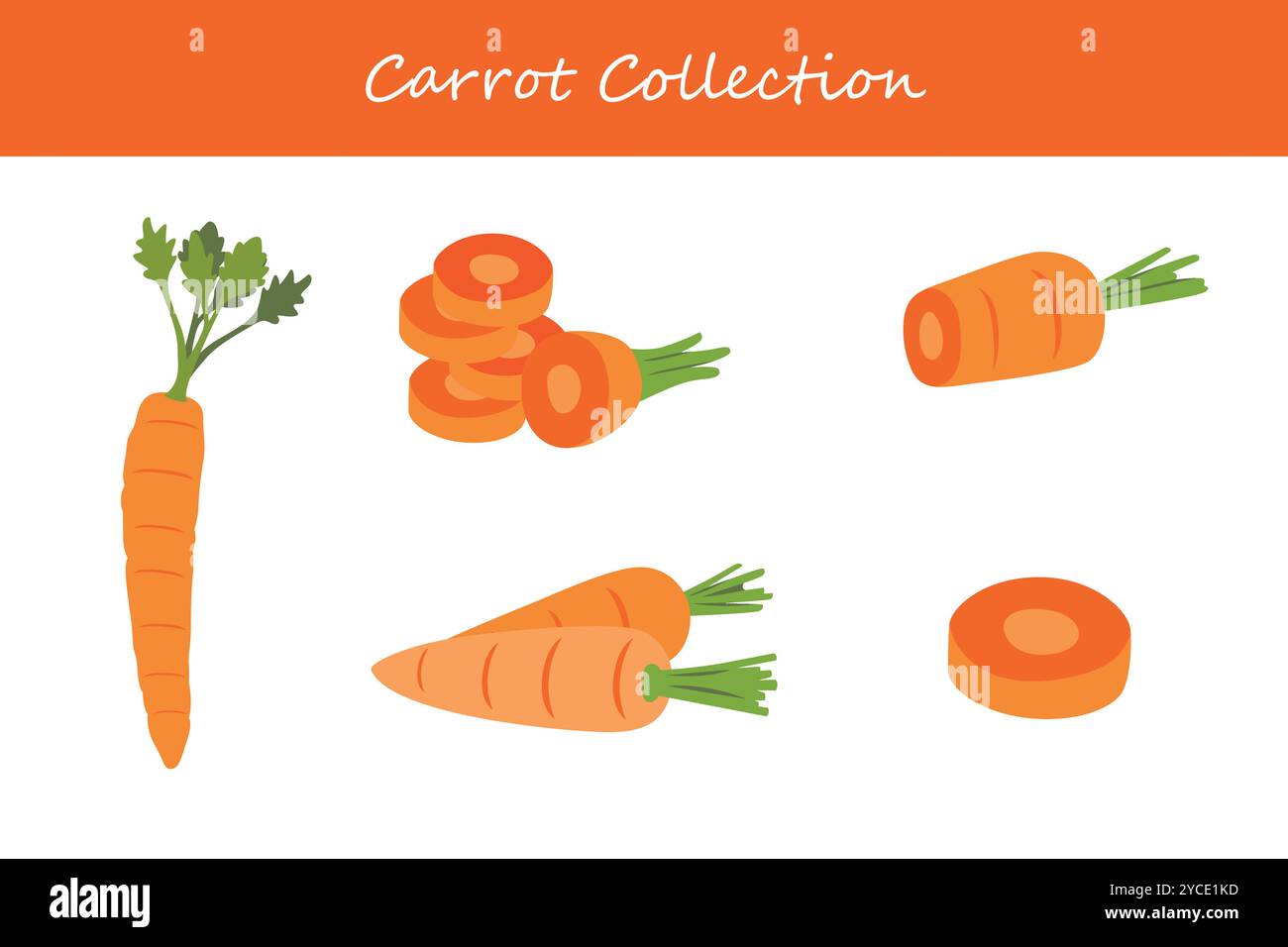 raccolta di carote in pose diverse. Illustrazione vettoriale. Illustrazione Vettoriale