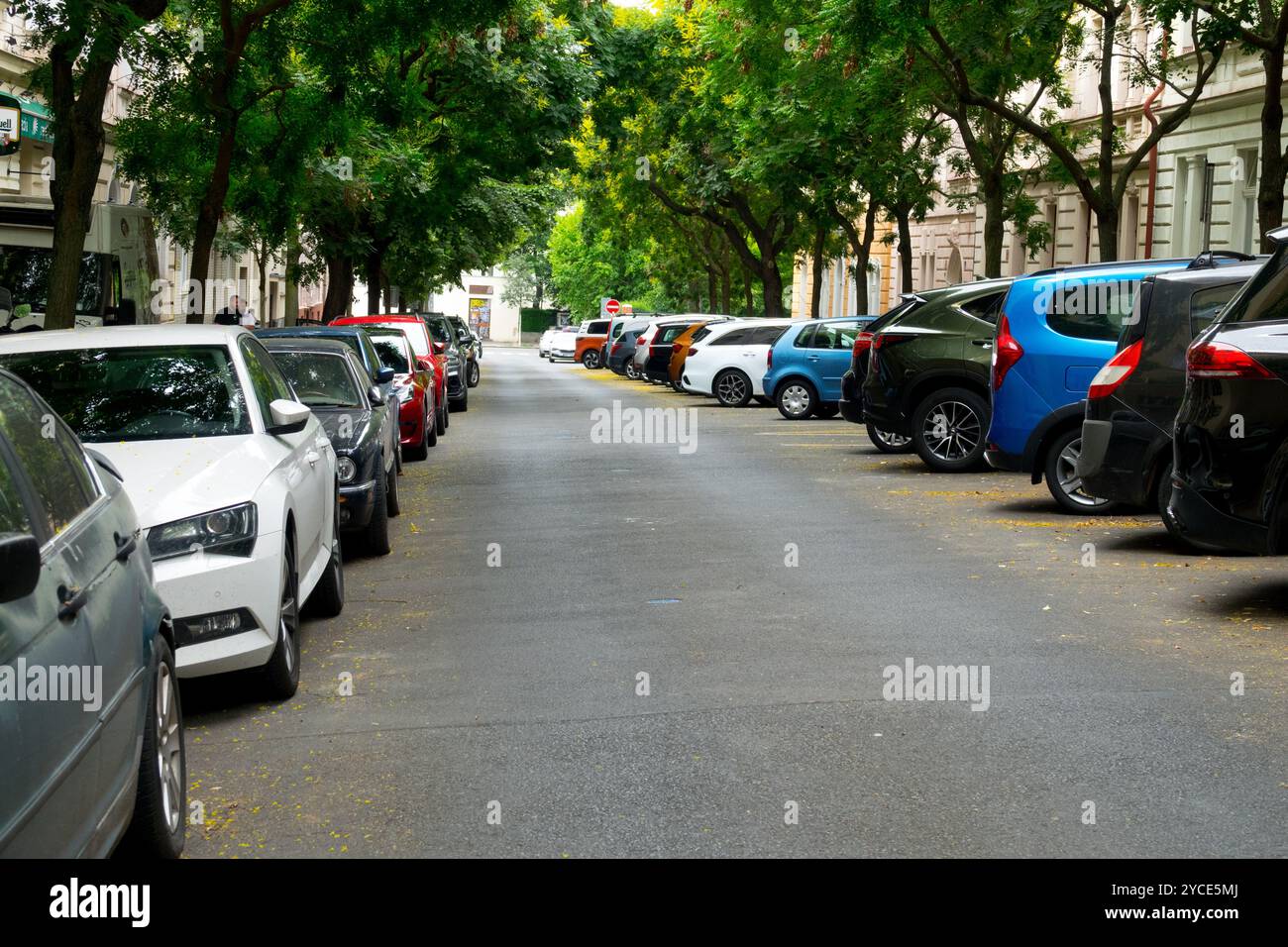 Una strada tipica con auto parcheggiate sotto gli alberi nel quartiere residenziale di Vinohrady, Praga Repubblica Ceca Foto Stock