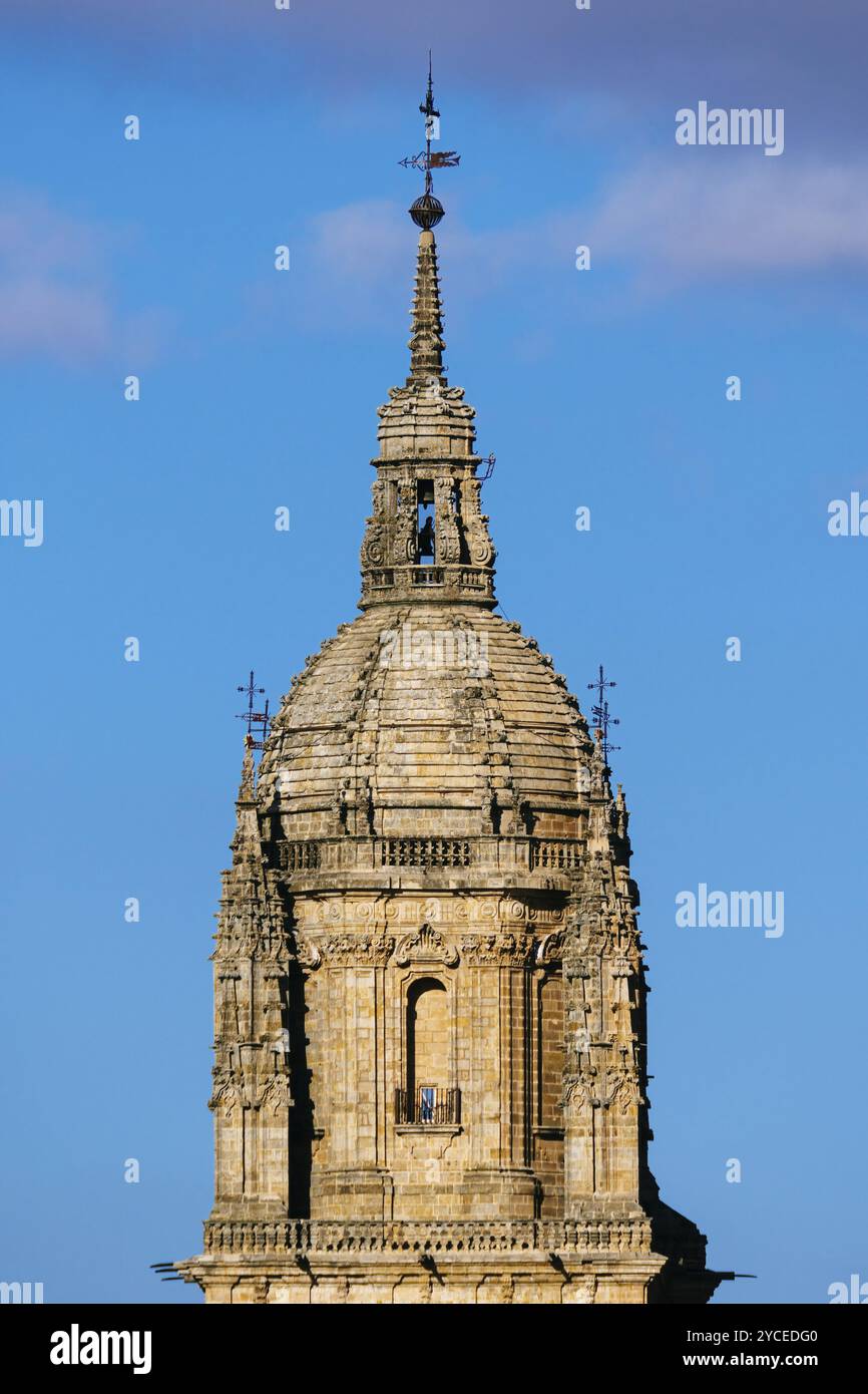 La cupola della Cattedrale di Salamanca contro il cielo. Telefotografia. Castilla Leon, Spagna, Europa Foto Stock