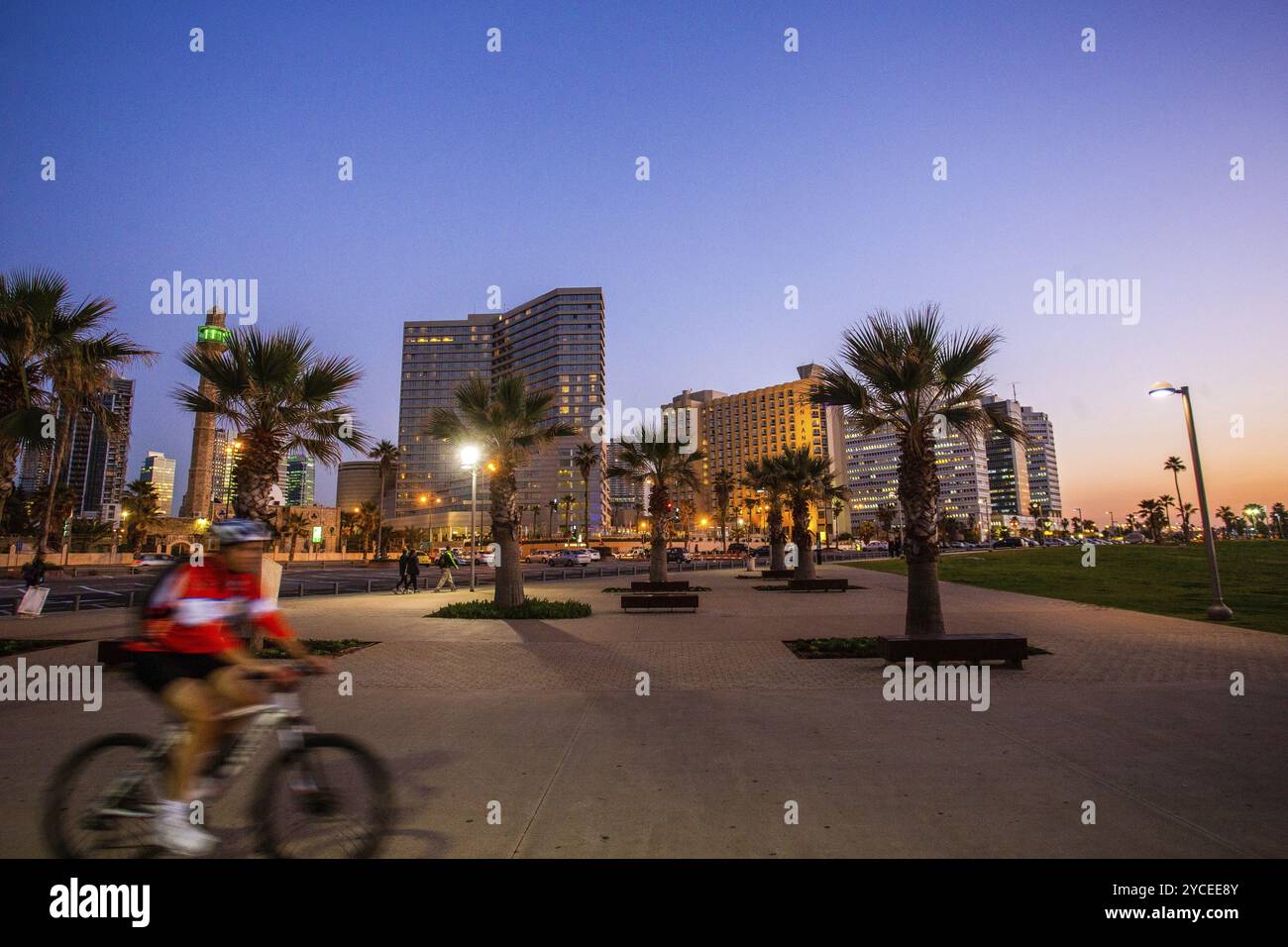 Incredibile paesaggio urbano di Tel-Aviv, bicicletta sfocata e palme, vicino alla costa Foto Stock