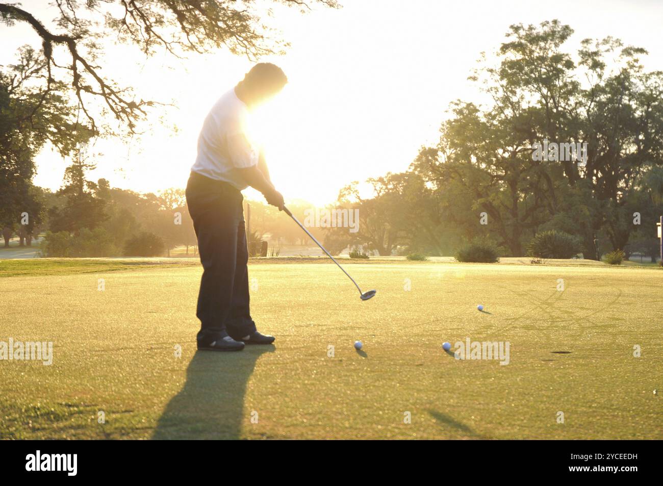 Uomo adulto che gioca a golf al tramonto Foto Stock