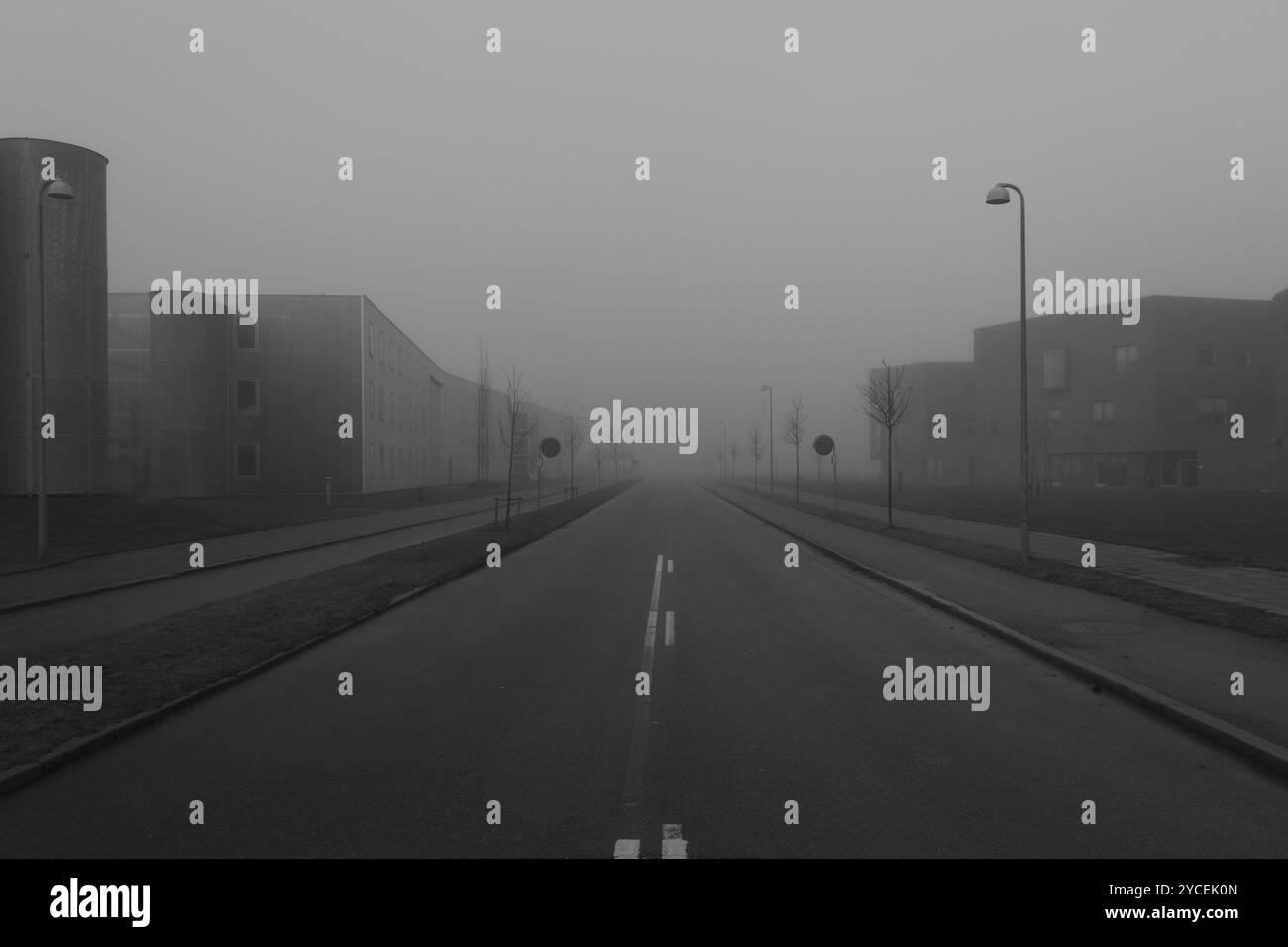 Un giorno di nebbia in Danimarca, Viborg Foto Stock