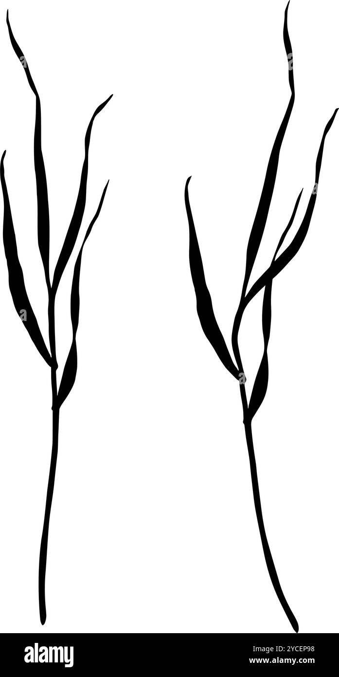 Set di sagome prato. Illustrazione vettoriale disegnata a mano isolata su sfondo bianco. Disegna in stile line art con inchiostri neri per Illustrazione Vettoriale