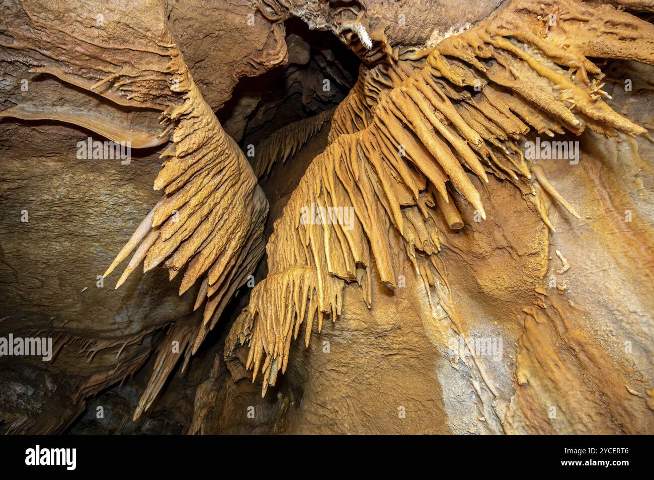 Stalattiti e stalagmiti e altre formazioni all'interno di una bellissima grotta. Riprese 4K di alta qualità Foto Stock