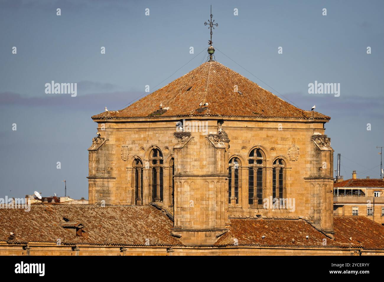 Paesaggio urbano della città vecchia di Salamanca. Castilla Leon, Spagna. Teleobiettivo Foto Stock