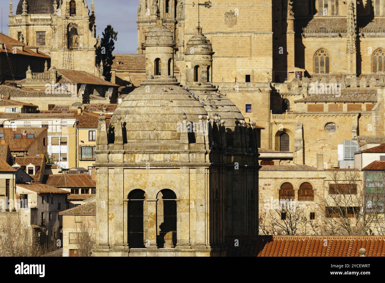 Paesaggio urbano della città vecchia di Salamanca. Castilla Leon, Spagna. Teleobiettivo Foto Stock