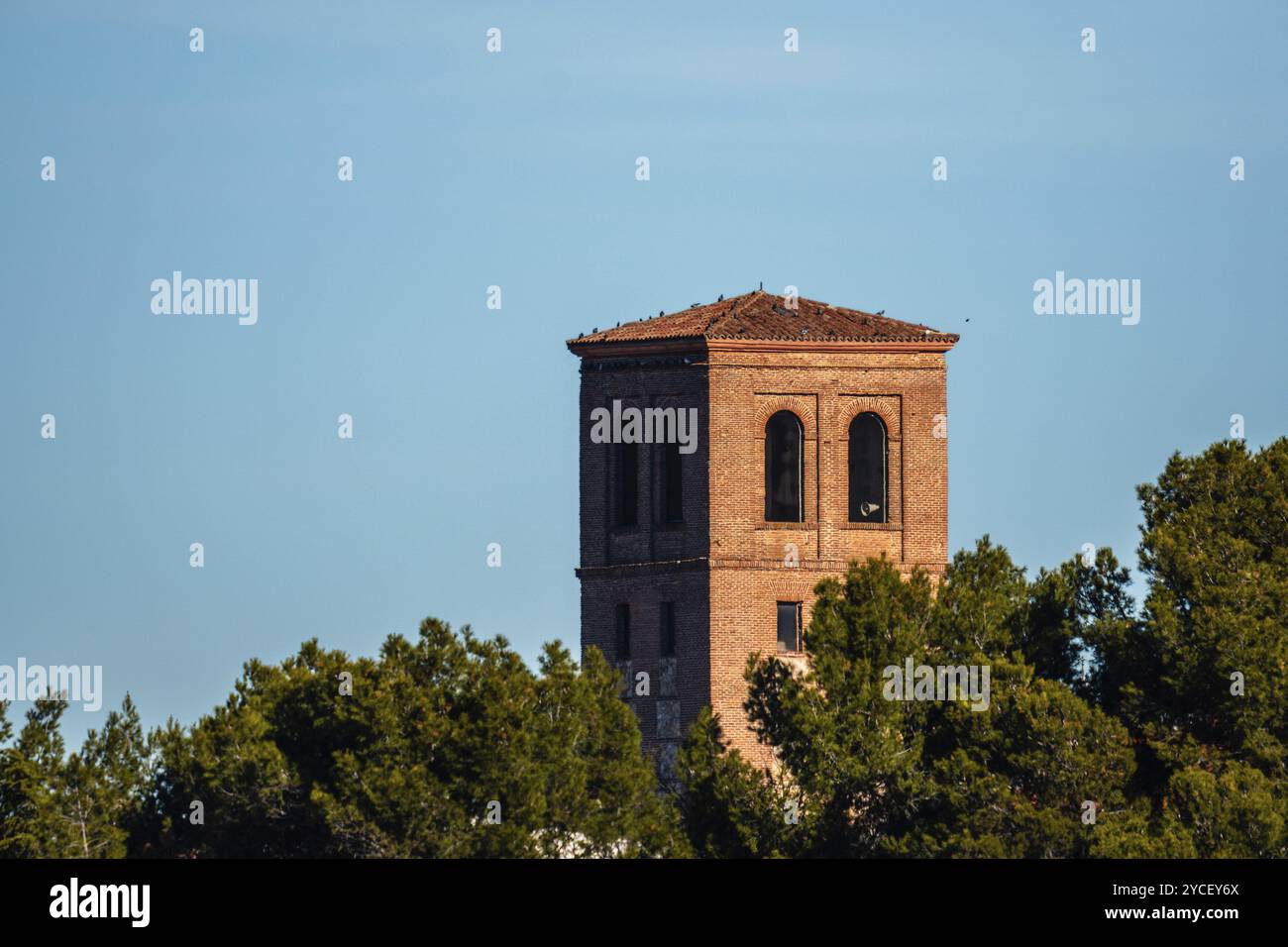 Vecchia torre di mattoni arancioni tra gli alberi nella foresta in una giornata di sole al mattino. Paracuellos del Jarama, Madrid, Spagna. Teleobiettivo Foto Stock
