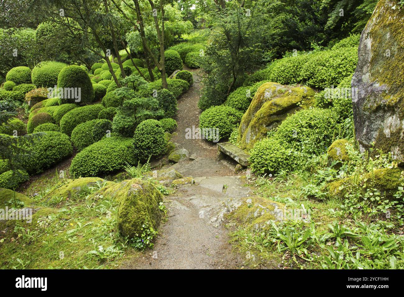 Parco giapponese a Maulivrier. Pays de la Loire, Francia. Primavera Foto Stock