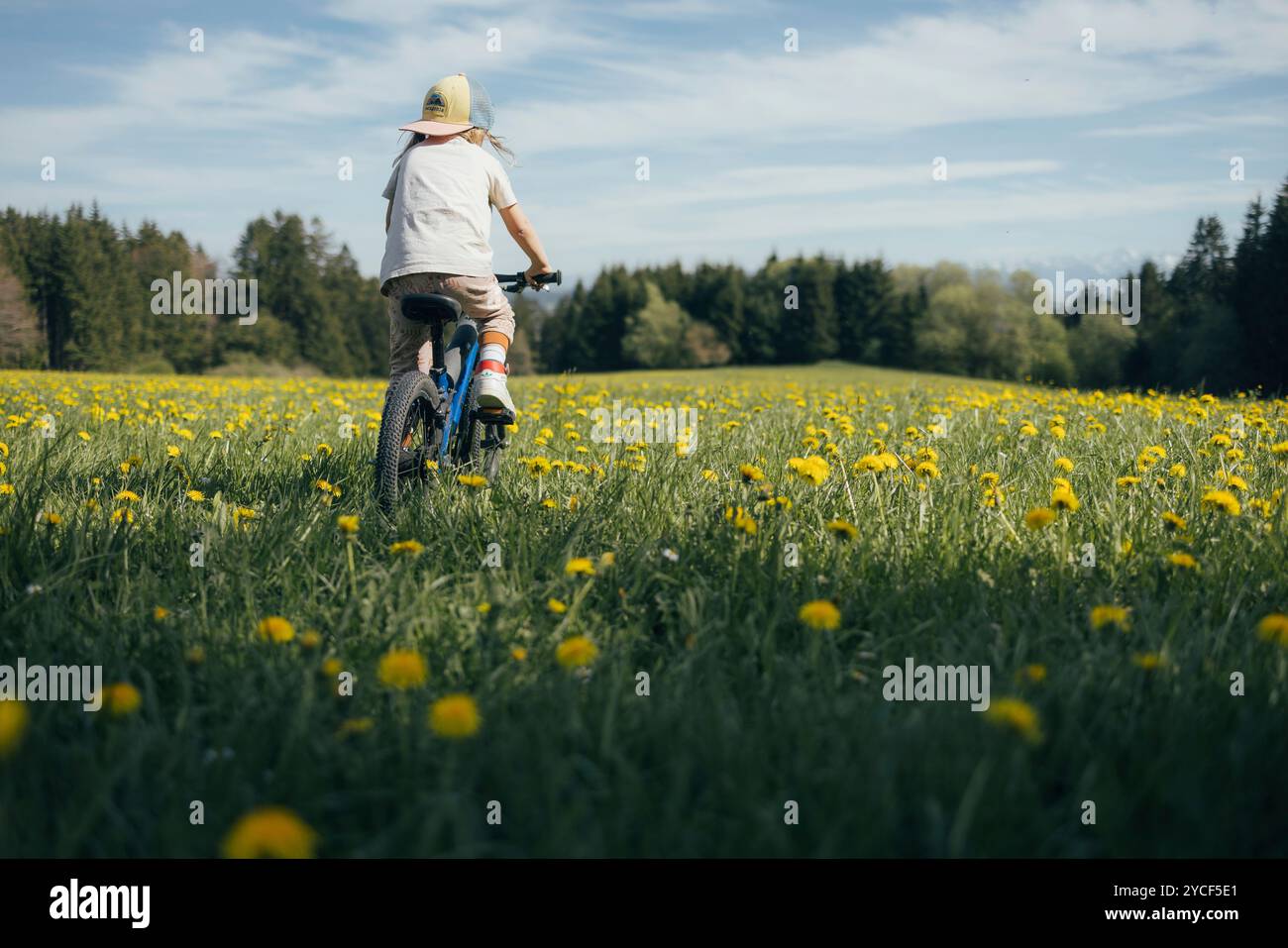 Ragazza in bicicletta in un prato Foto Stock