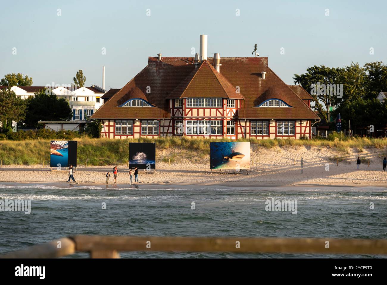 Spiaggia di Zingst, esposizione con foto di squali del festival ambientale di Zingst, Meclemburgo-Pomerania Occidentale, Germania Foto Stock