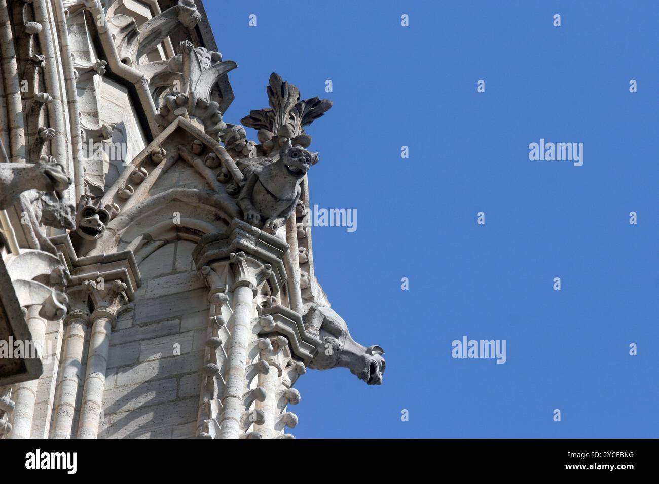 I doccioni della cattedrale di Notre Dame di Parigi Foto Stock