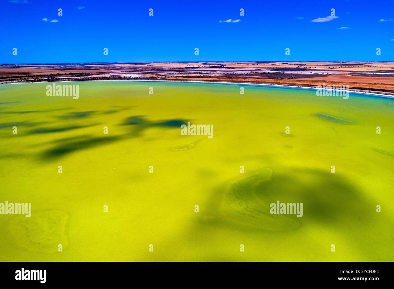 Vista aerea del lago Baandee, South Doodlakine, Australia Occidentale Foto Stock