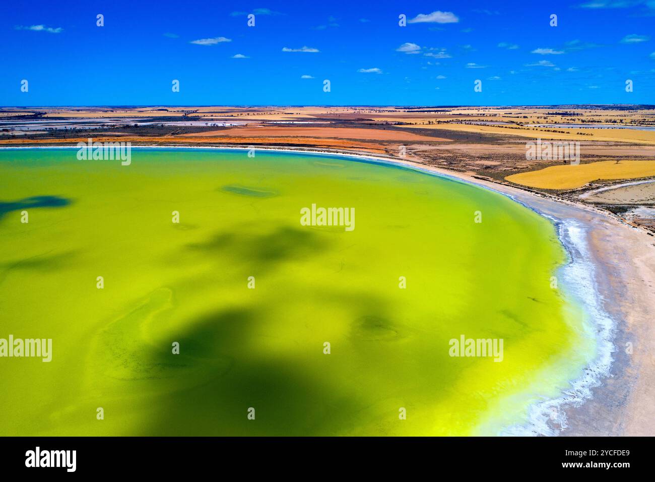 Vista aerea del lago Baandee, South Doodlakine, Australia Occidentale Foto Stock