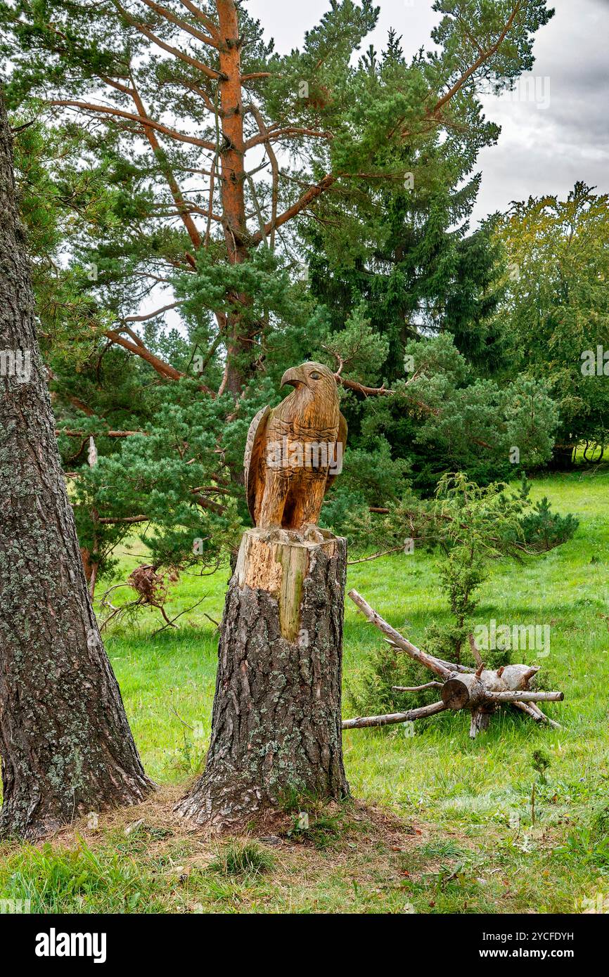 Germania, Baden-Württemberg, Hausen am Tann, figura di aquila, incisione sullo Schafberg Foto Stock