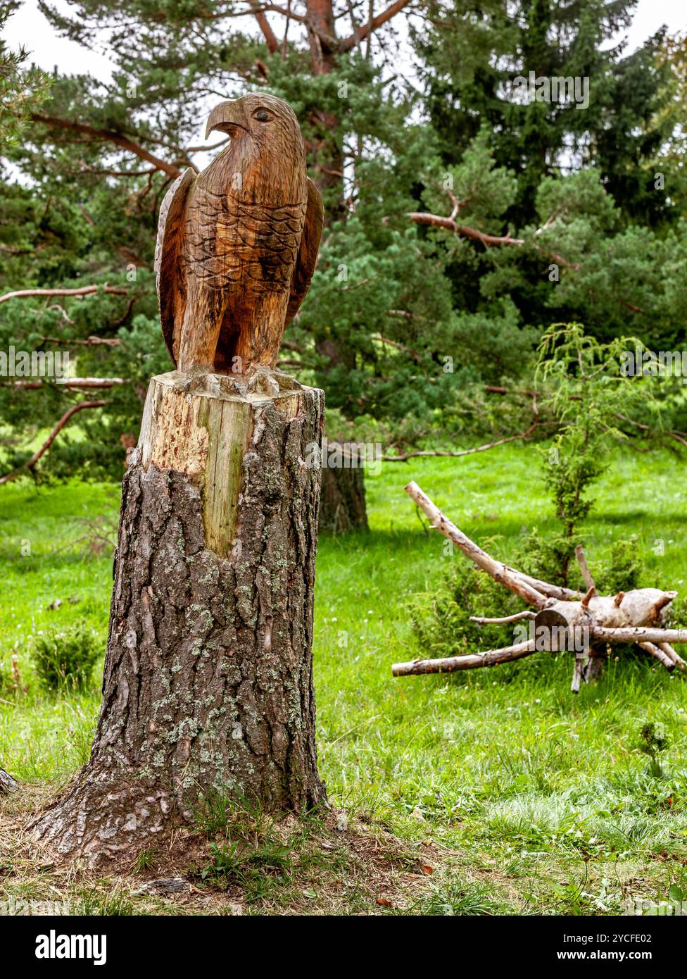 Germania, Baden-Württemberg, Hausen am Tann, figura di aquila, incisione sullo Schafberg Foto Stock