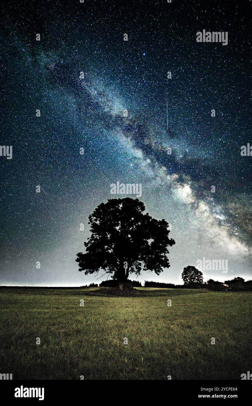 Vista della via Lattea in agosto con la stella della caccia ai Perseidi a Ostallgäu, Allgäu, Svevia, Baviera, Germania, Europa con prato e sagoma di alberi decidui in primo piano Foto Stock