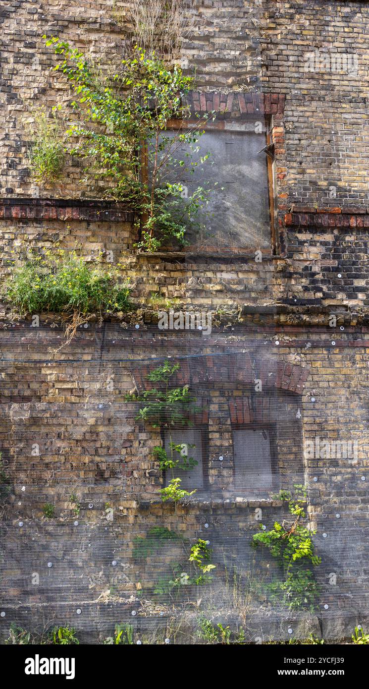 Vecchia muratura, ricoperta di piante Foto Stock