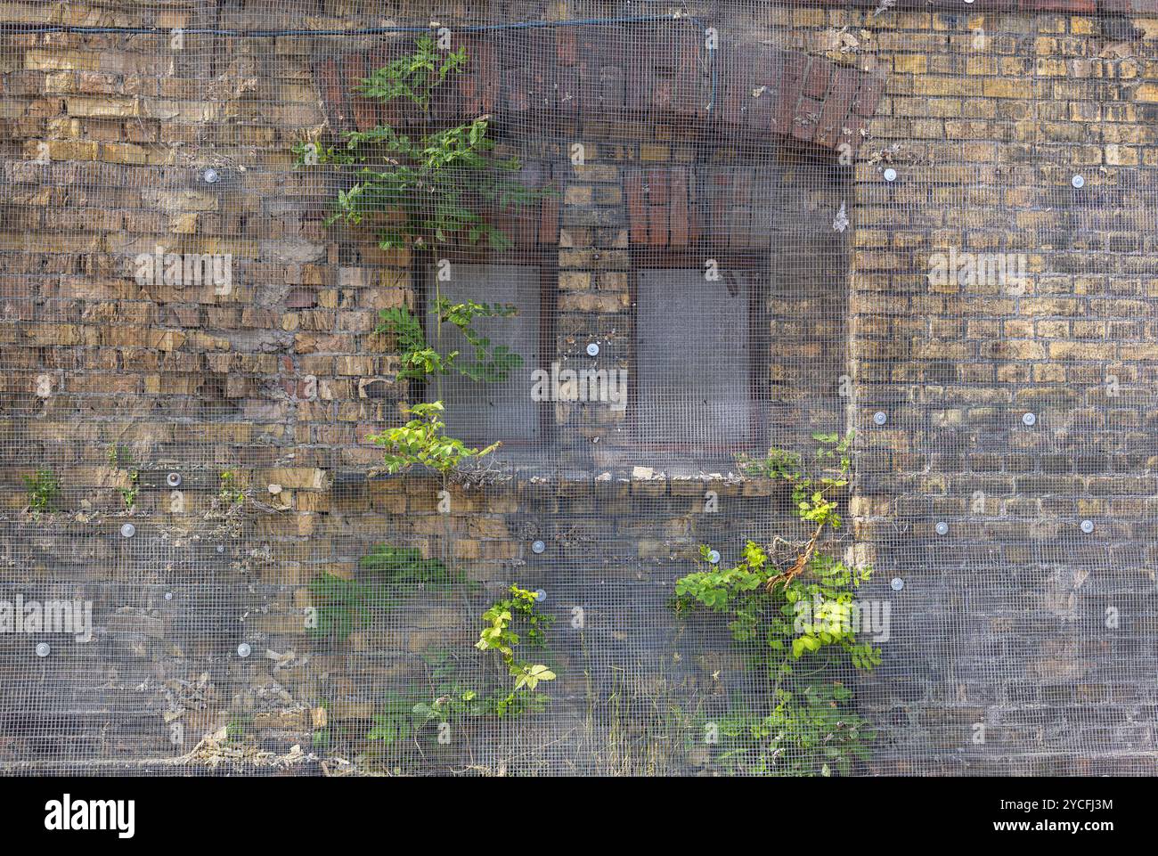 Vecchia muratura, ricoperta di piante Foto Stock
