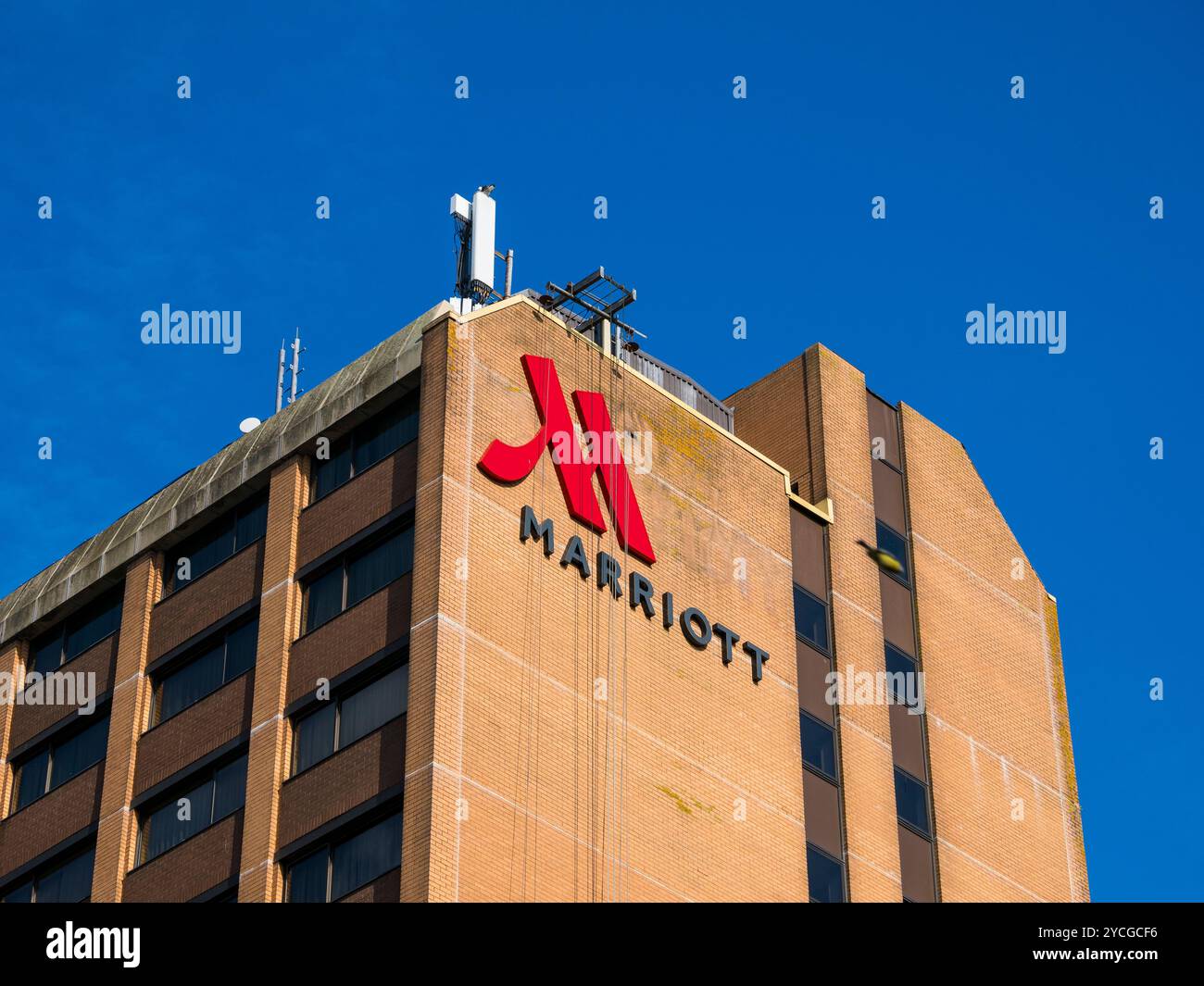 Cardiff Marriott Hotel, Cardiff, Galles, Regno Unito, Gran Bretagna. Foto Stock