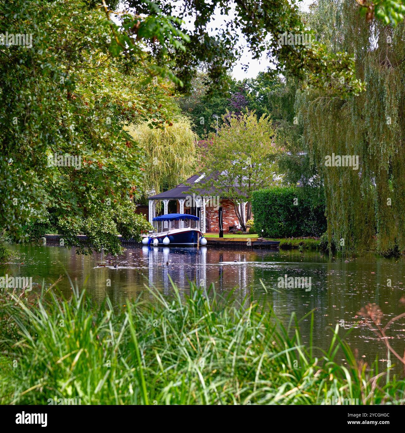 Proprietà residenziali esclusive che si affacciano sul canale di navigazione del fiume Wey a Weybridge, Surrey, Inghilterra, Regno Unito Foto Stock