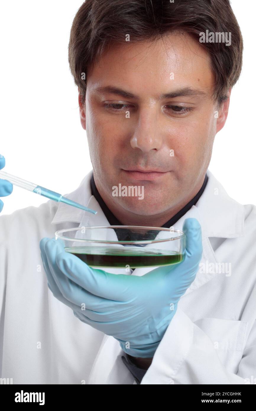 Scienziato ricercatore esperimento in laboratorio Foto Stock