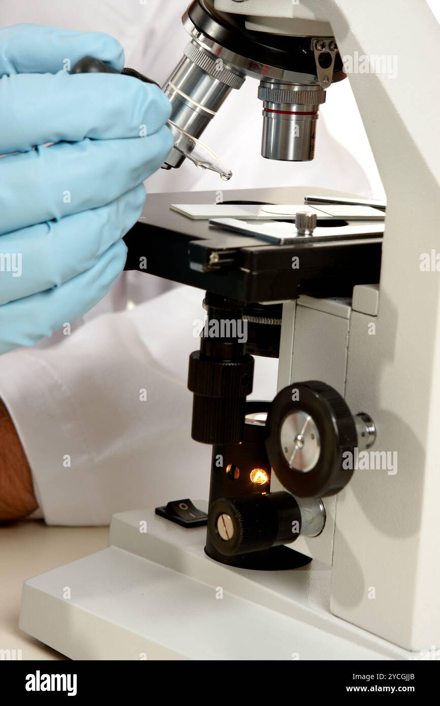 Sotto il microscopio Foto Stock
