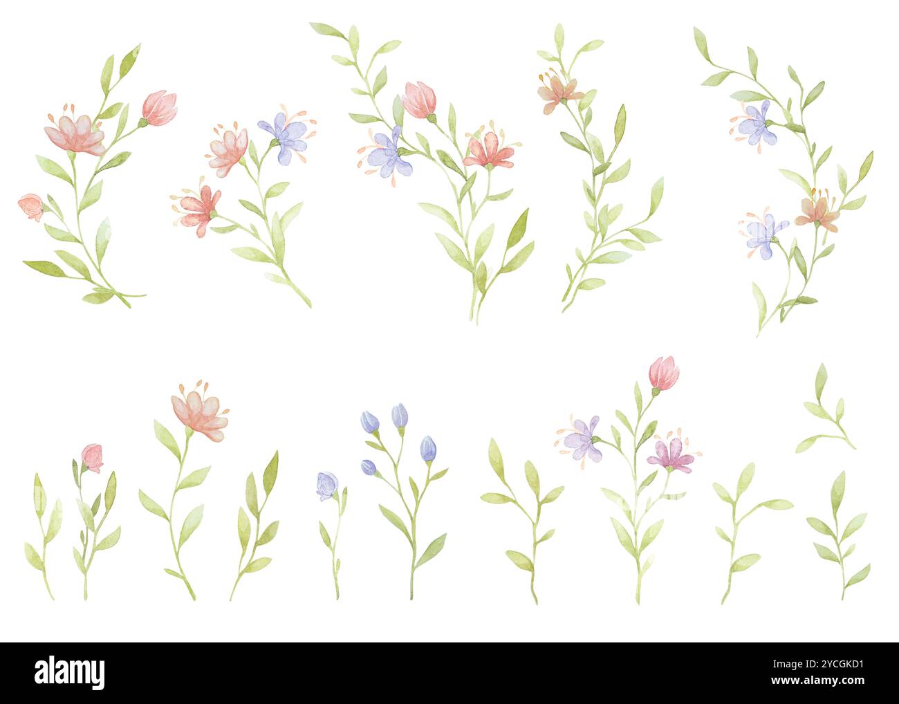 Acquerello Fiori rustici, Clipart floreale rustico, Clipart acquerello ramificato, elementi acquerello isolati Foto Stock