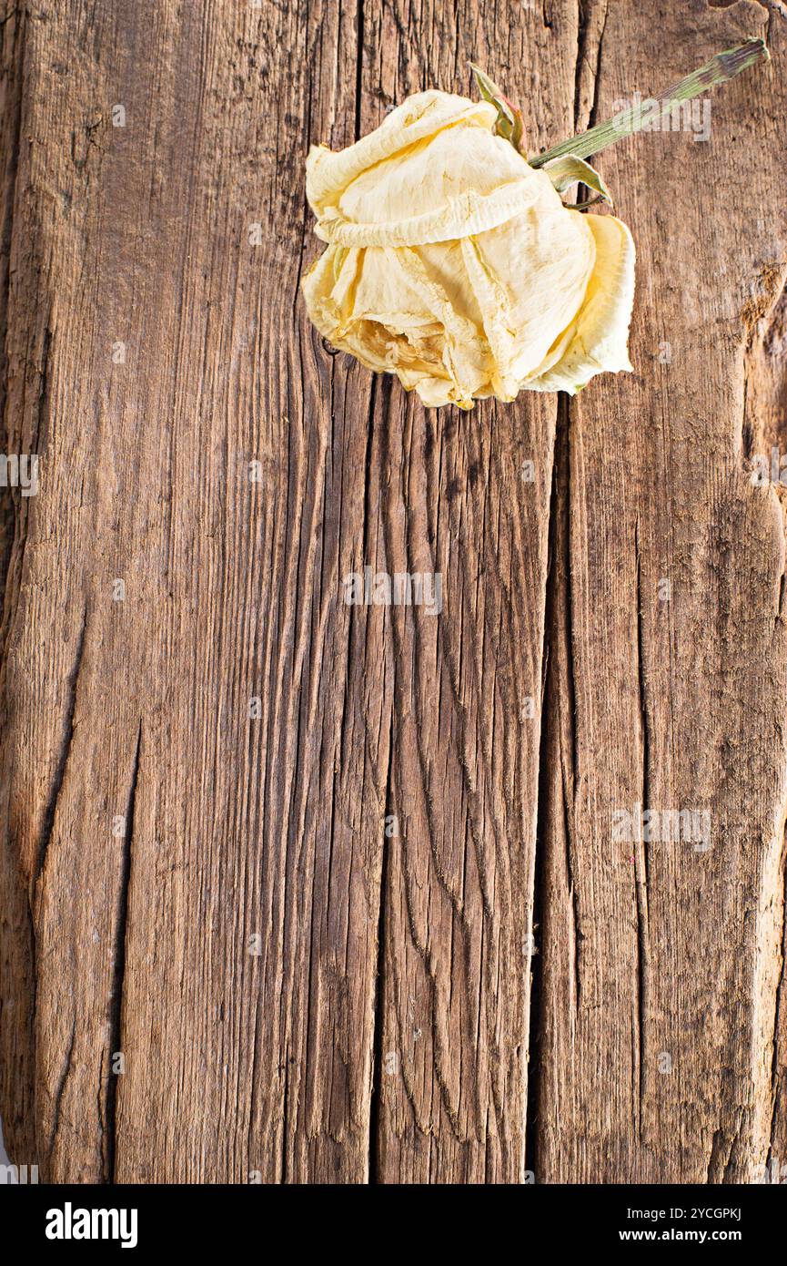 Rosa asciutta su vecchio sfondo di legno Foto Stock