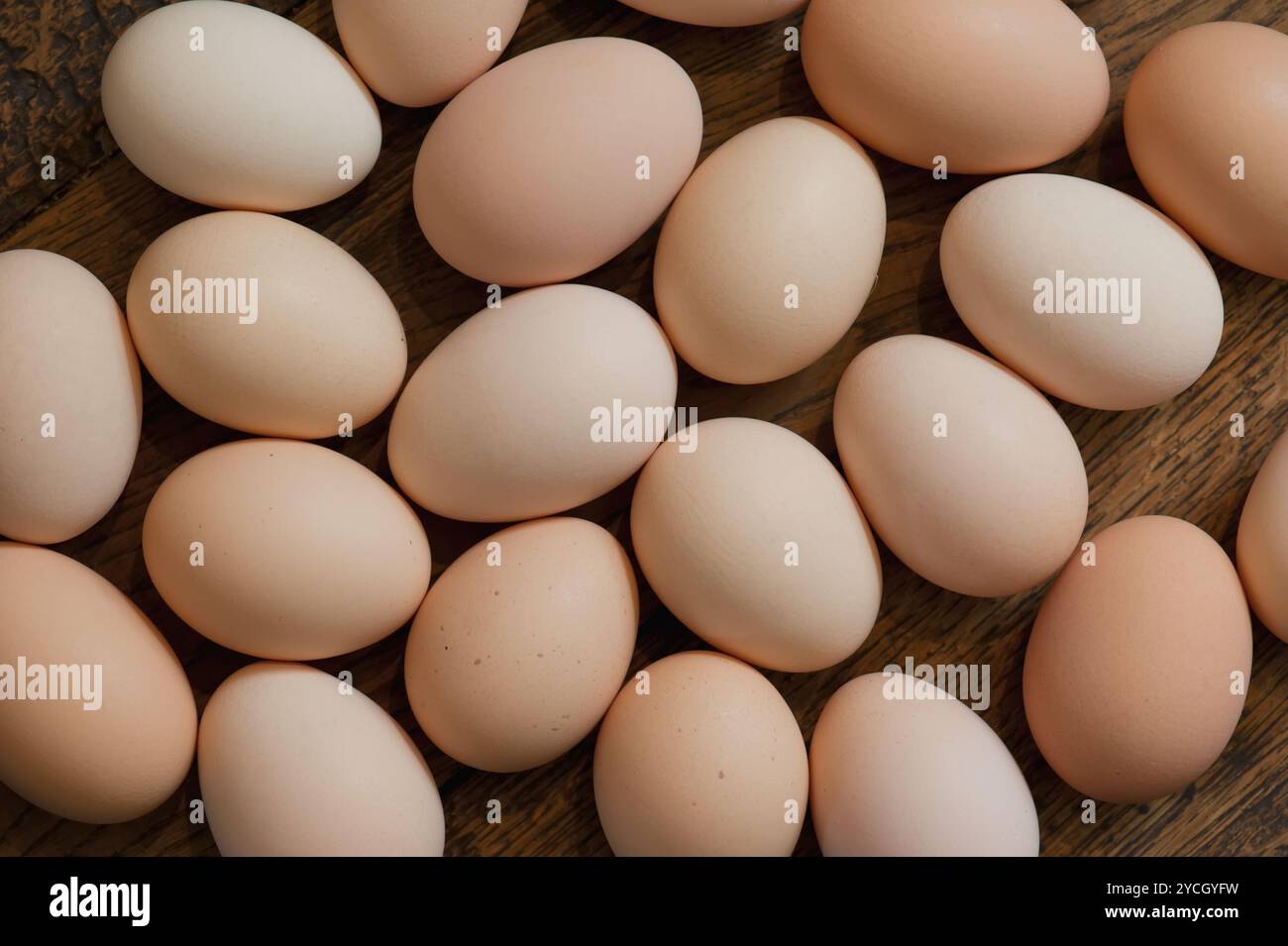 Uova di Brown Foto Stock
