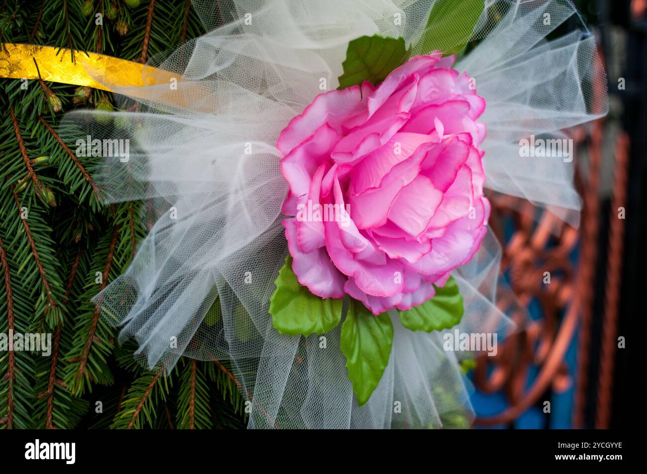 Elegante rosa adornata con tulle su sfondo verde. Foto Stock