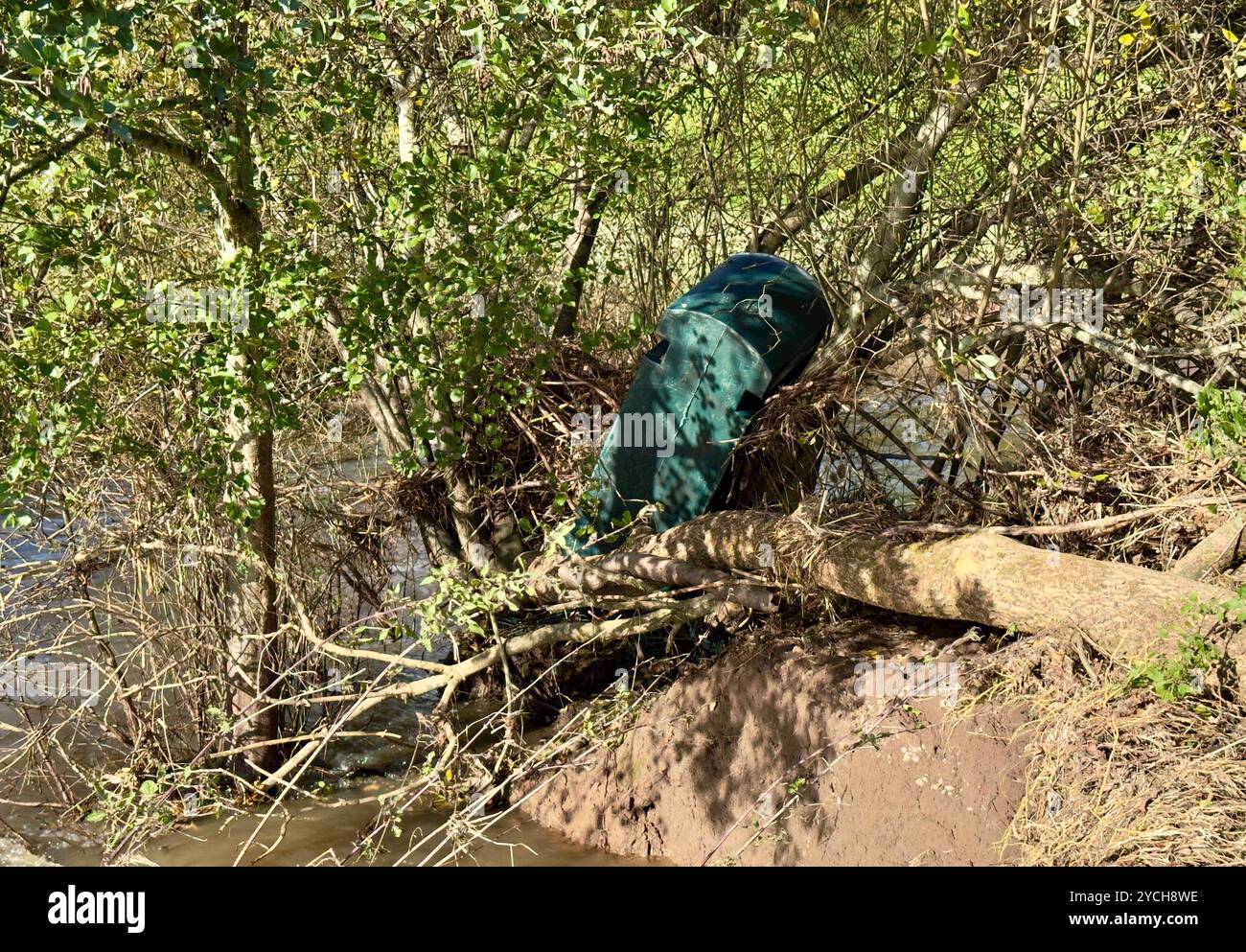 Grande serbatoio di plastica verde lavato a valle dopo un'inondazione e catturato nei rami di un albero accanto a un piccolo fiume. - Immagine stock catturata con smartphone