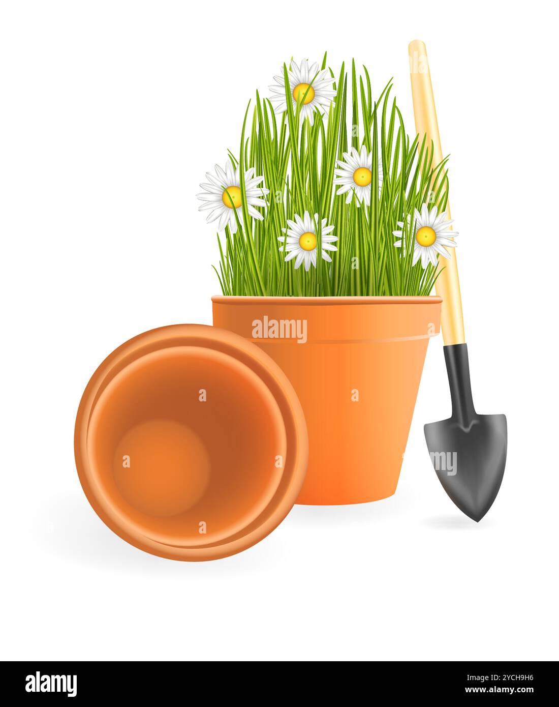 Giardinaggio primaverile. Fiori di camomilla con erba verde in vaso di fiori e piccola pala da giardino su sfondo bianco Foto Stock