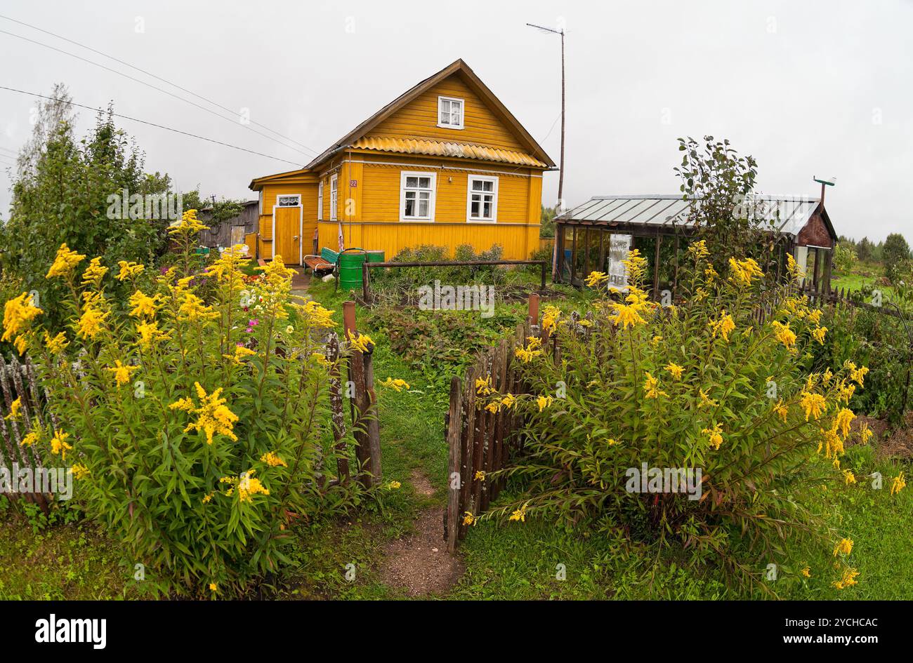 Rurale scena con fiori di colore giallo e la casa in legno Foto Stock