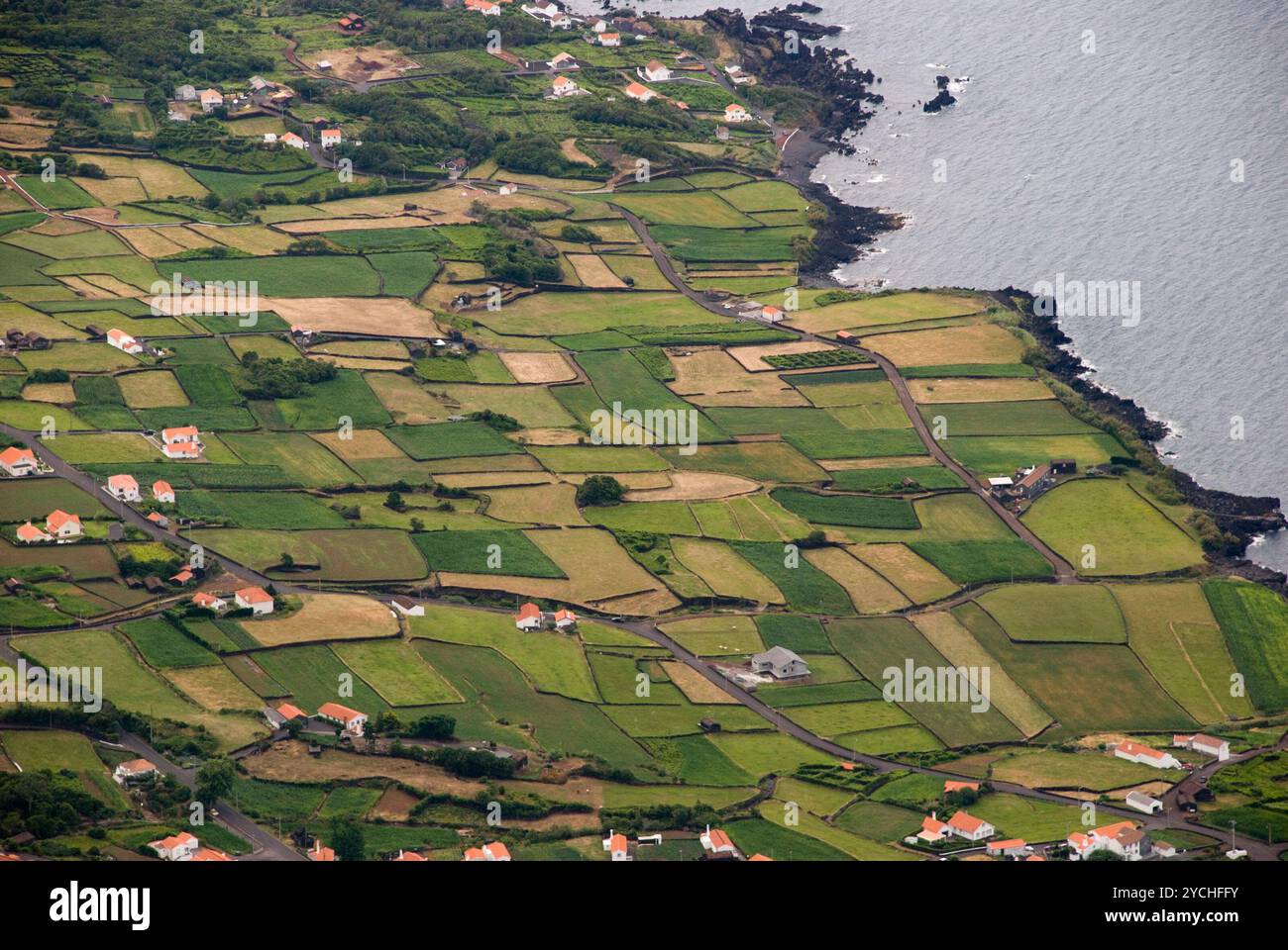 Campo, isola di Pico, Azzorre Foto Stock