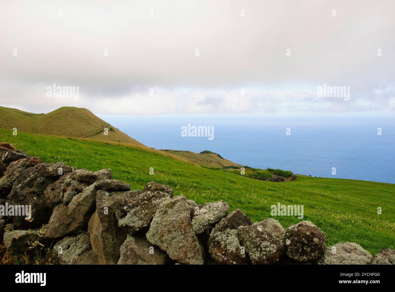 Pascoli verdi di Pico, Azzorre Foto Stock