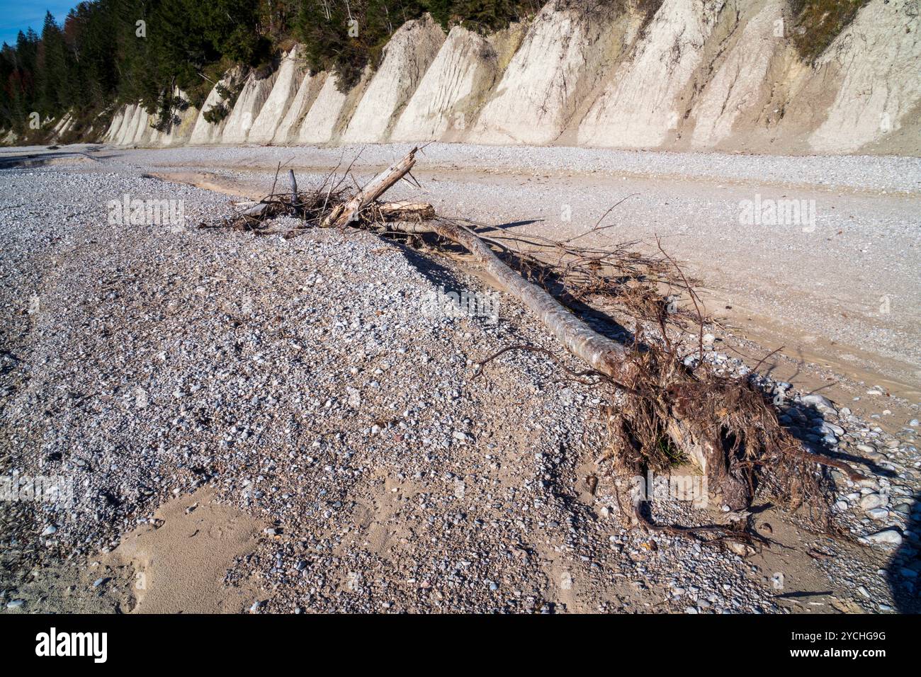 Wasserknappheit im Isartal Kompletter Trockenfall der Isar, deren Wasser bei Krün in einem Kanal zum Walchensee abgeleitet wird und das Restwasser bei Foto Stock