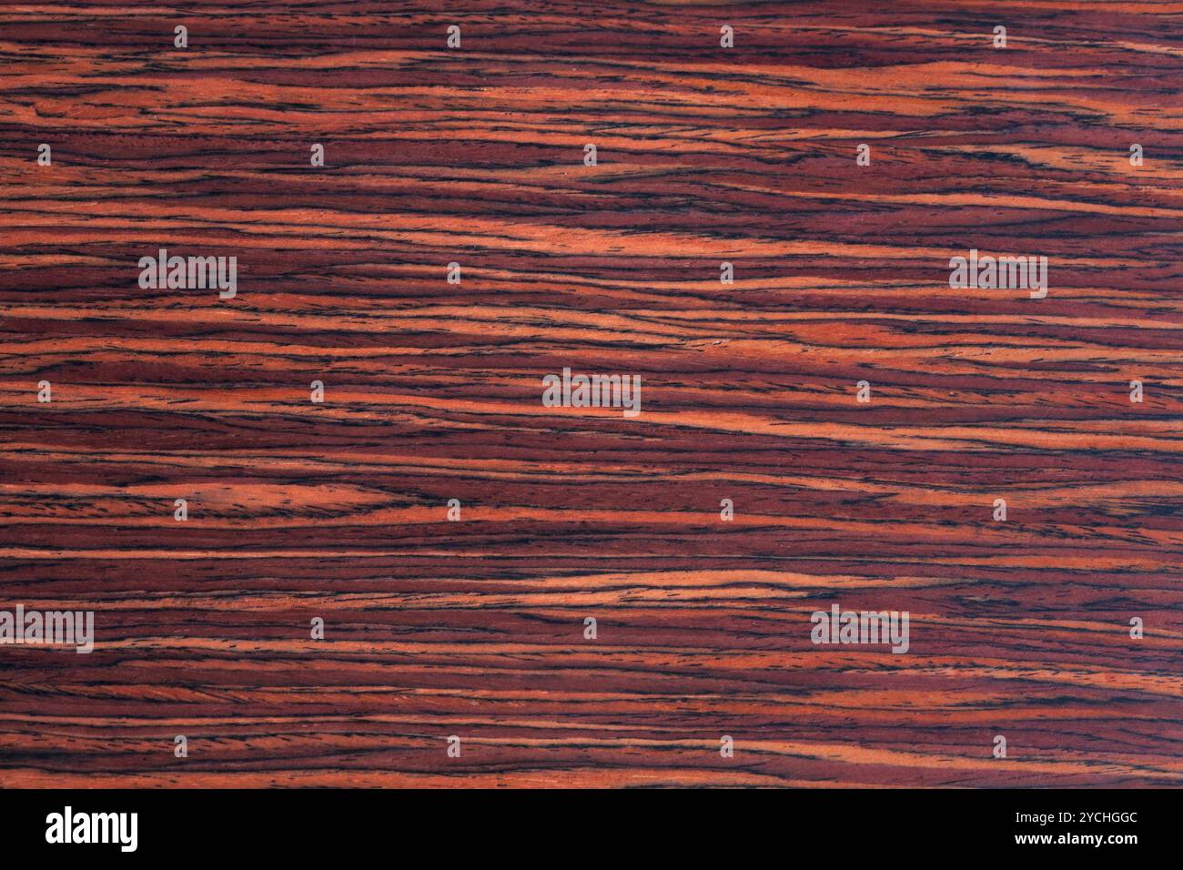 Texture in legno di noce, Foto Stock