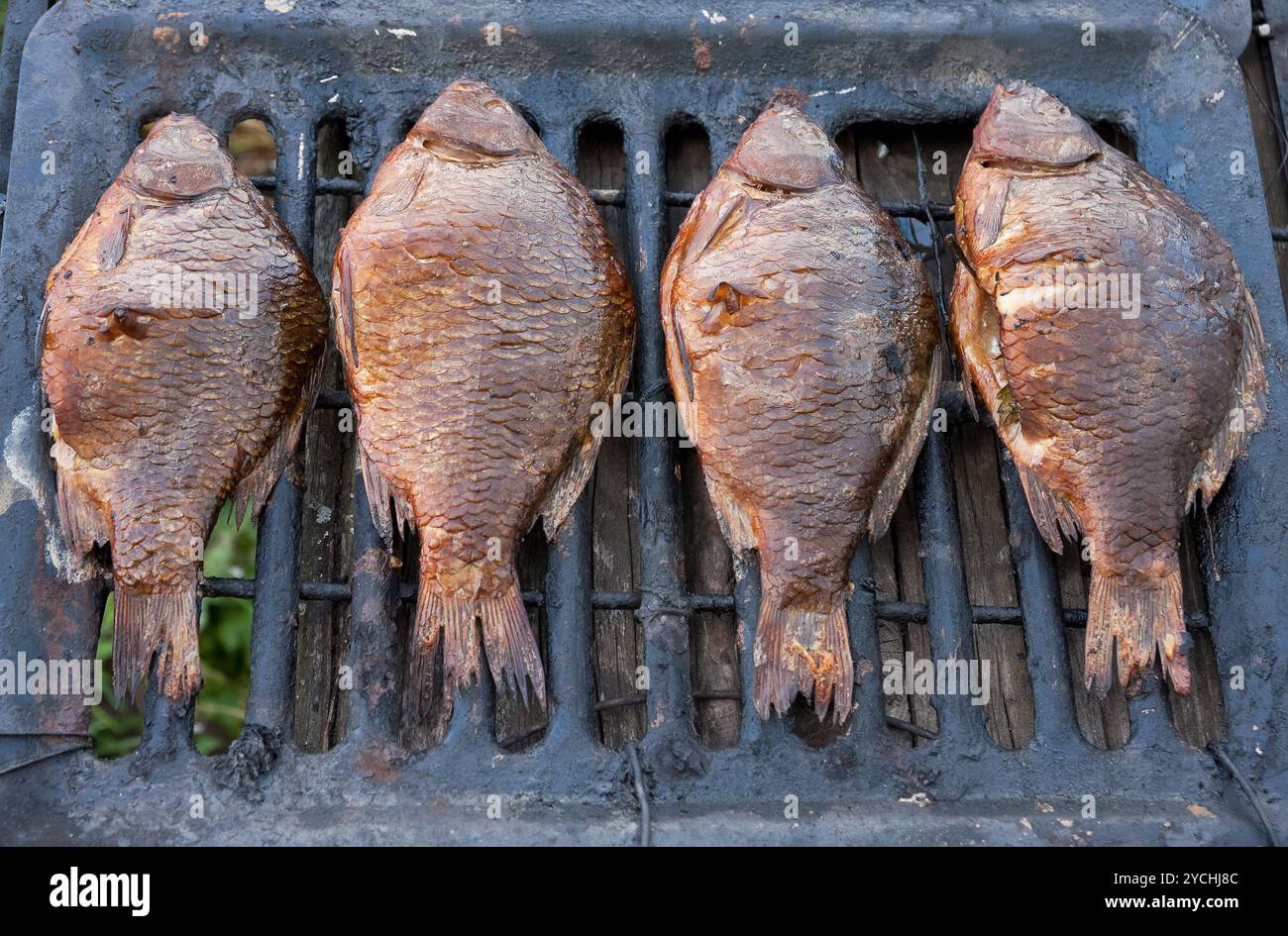 Appena affumicato pesce fresco pescato nel fiume russo Foto Stock