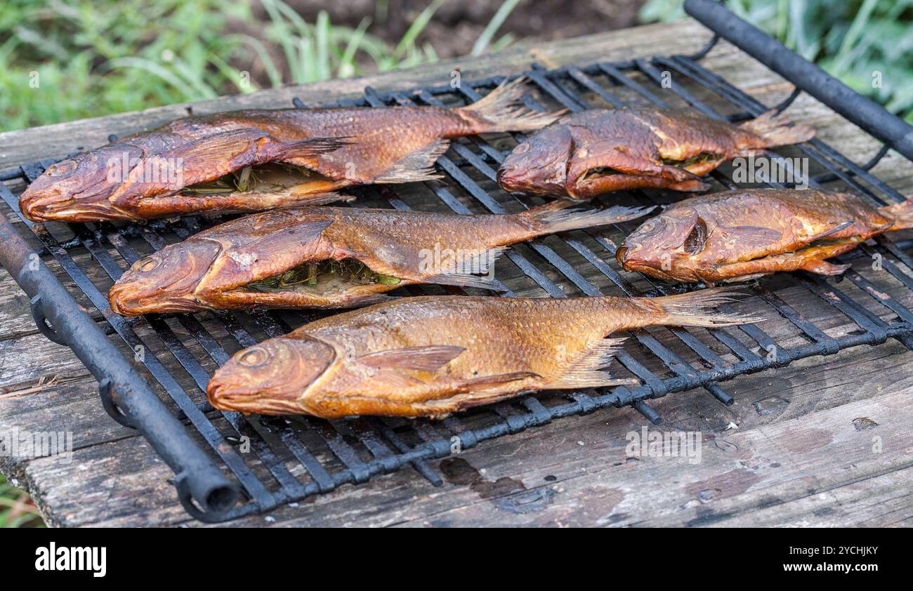 Appena affumicato pesce fresco pescato nel fiume russo Foto Stock