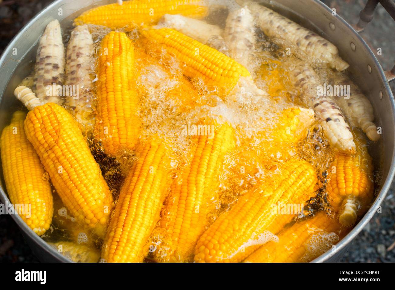 Orecchie di mais bollite in pentola presso il mercato all'aperto Foto Stock