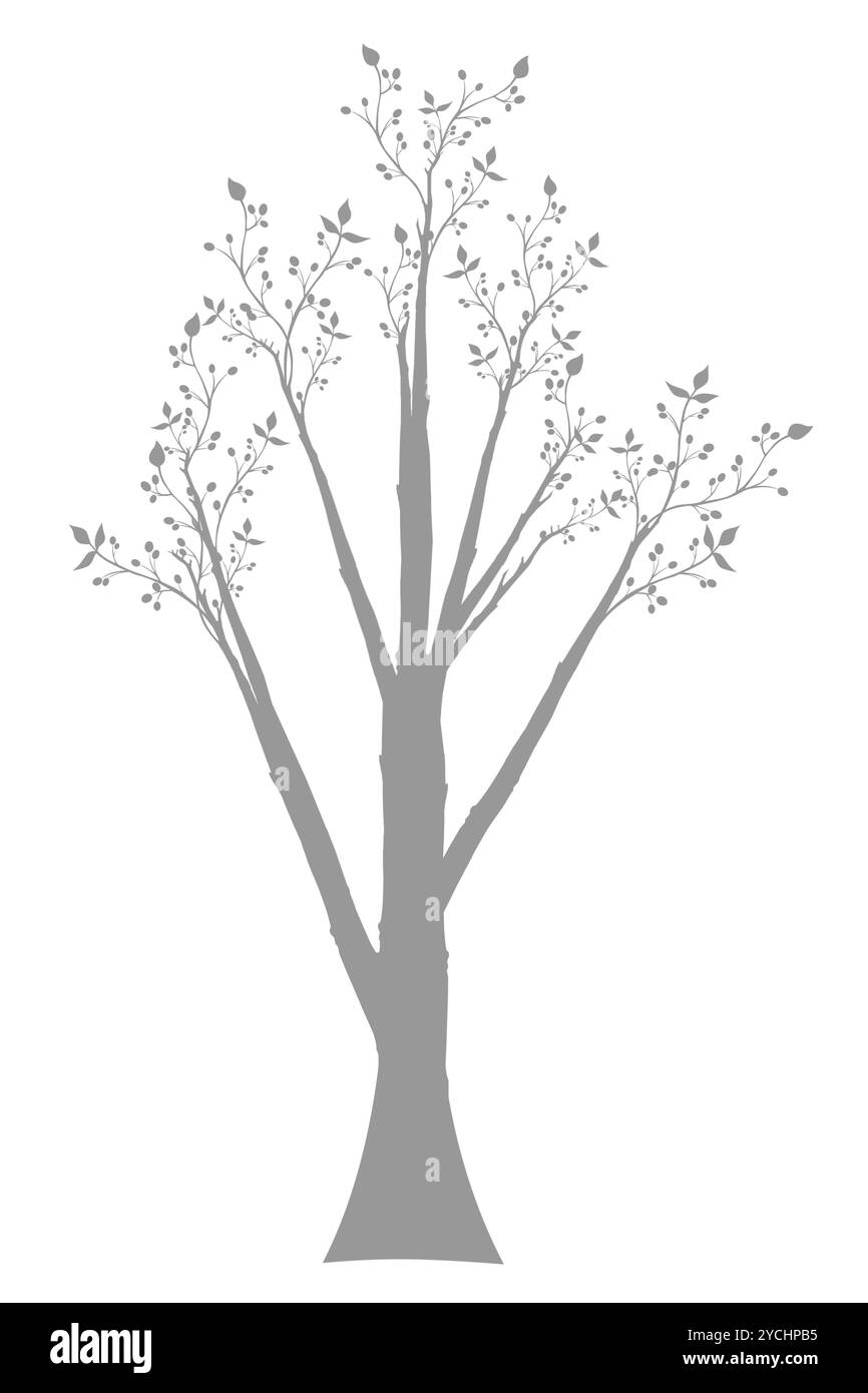 Olive Tree Foto Stock