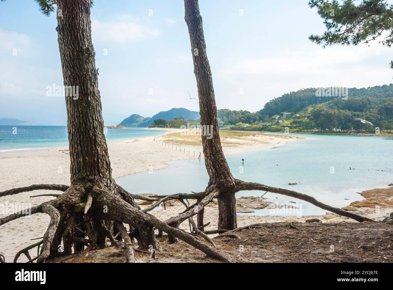 Smaragd acqua delle Isole Cies parco naturale, Galizia, Spagna Foto Stock