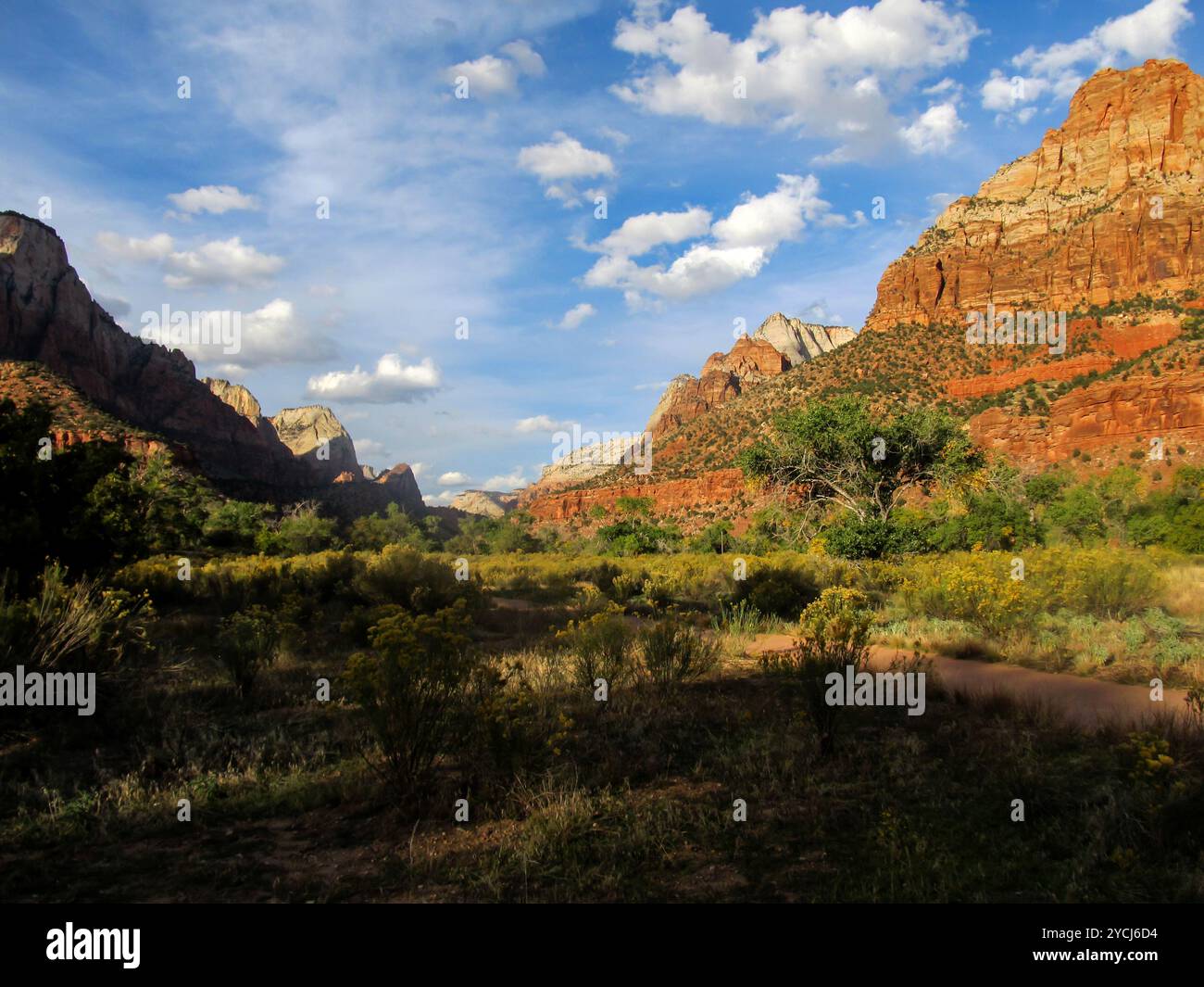 Vista spettacolare lungo lo Zion Canyon, dall'inizio del Parus Trail, nel parco nazionale di Zion. Foto Stock