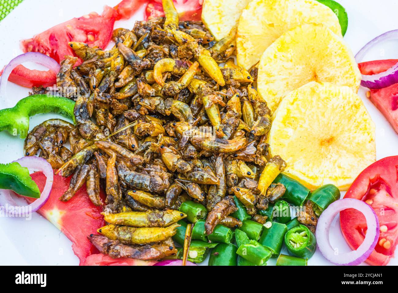 Un pasto pronto a base di cavallette ( Nsenene) al Serenada Eco Resort - Uganda. Le cavallette sono una prelibatezza stagionale in Uganda. Foto Stock