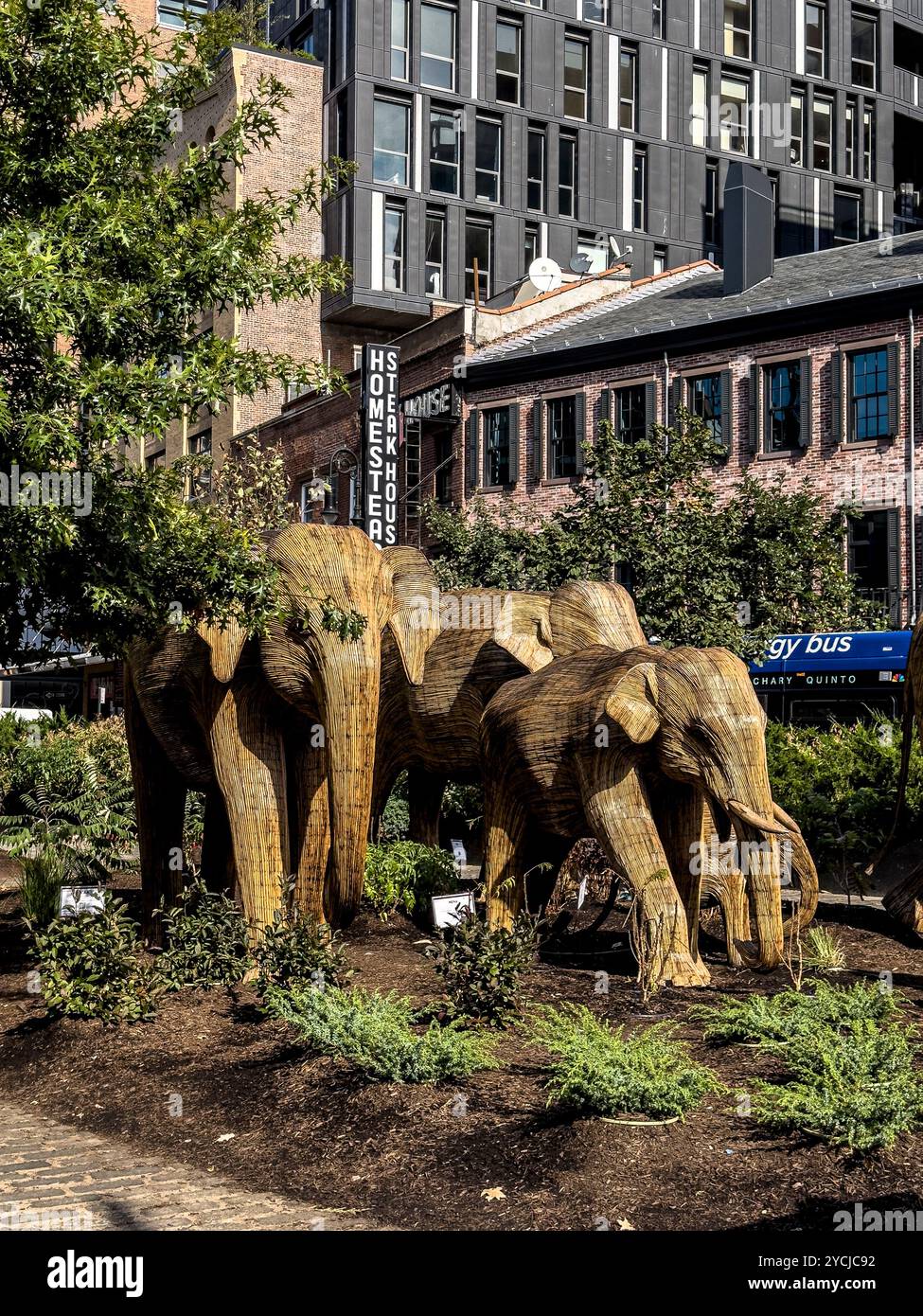 Grandi sculture della migrazione degli elefanti del collettivo di coesistenza, costruite da artigiani indigeni indiani della Lantana camara, New York City Foto Stock