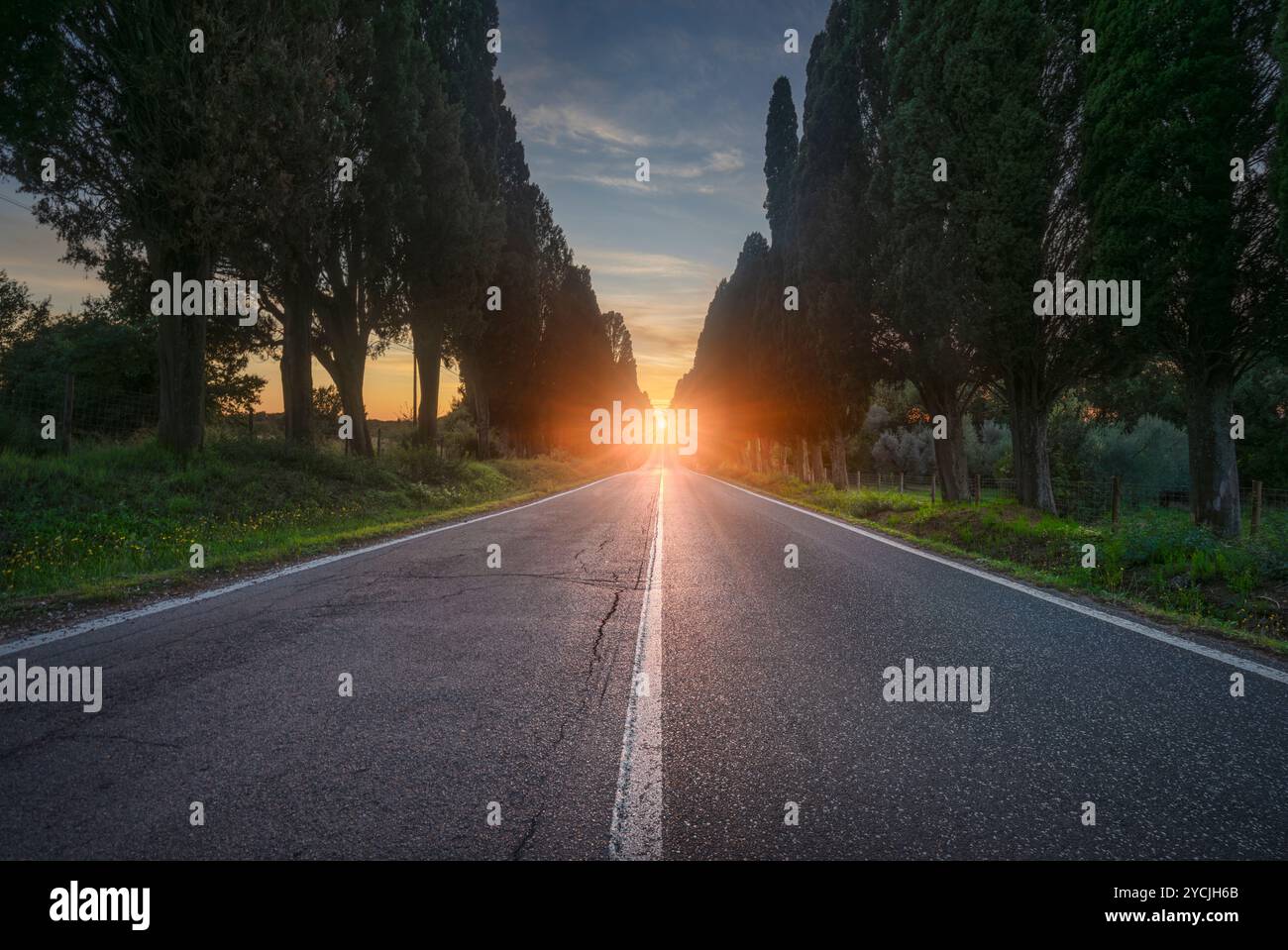 Il viale costeggiato da cipressi di Bolgheri e il sole al centro. Questo è il viale storico della poesia di Carducci Davanti San Guido. Alta Marem Foto Stock