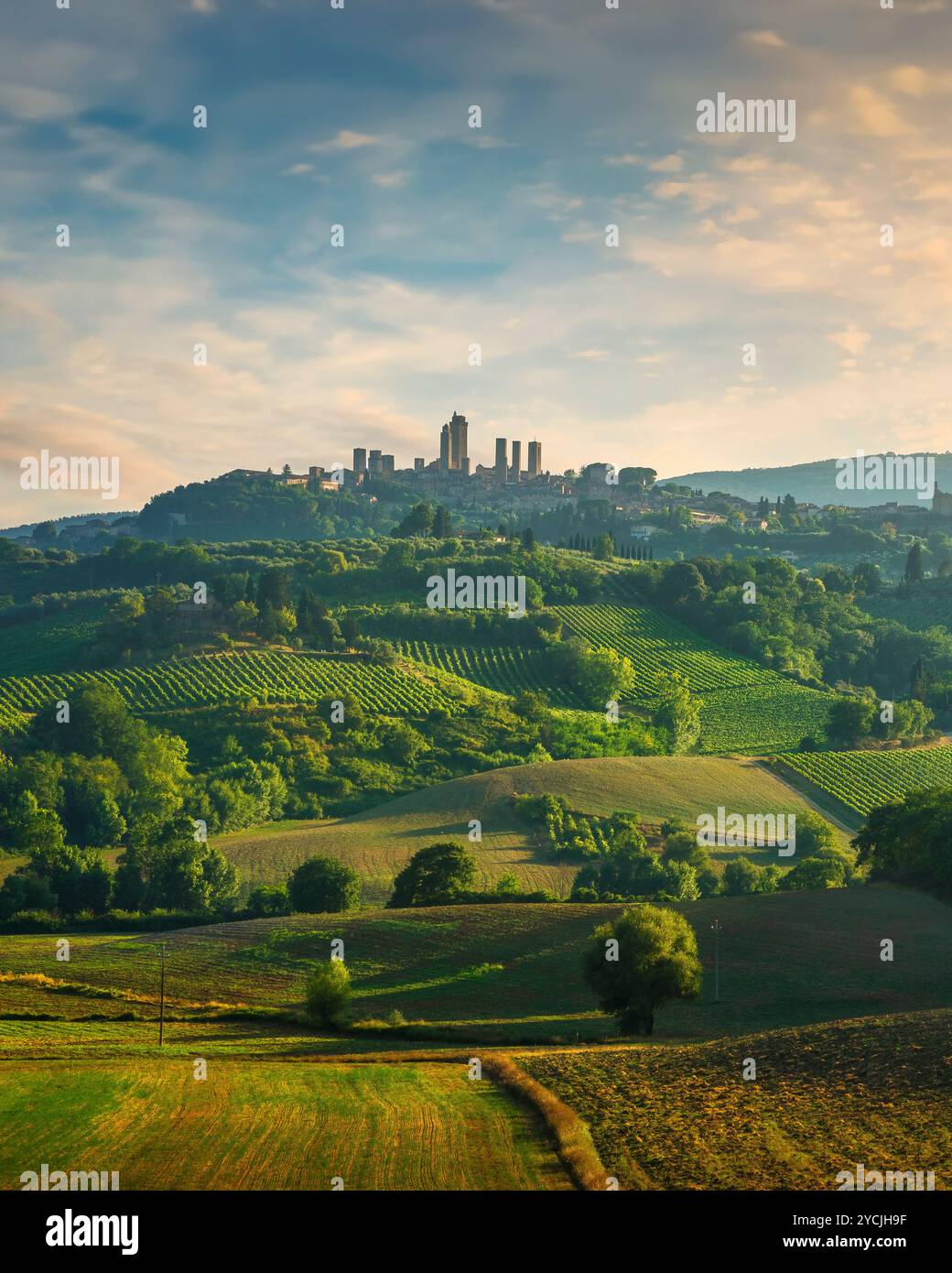 Vista panoramica sulla campagna del chianti e sui vigneti della vernaccia. San Gimignano al tramonto. Toscana, Italia, Europa. Foto Stock